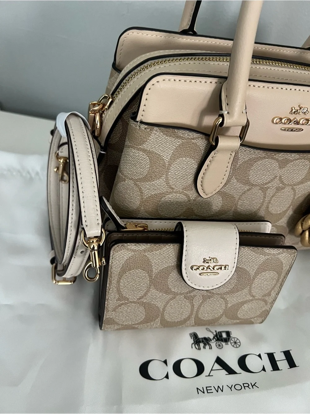 Coach Mini Darcie Carryall In Blocked Signature Canvas With Wallet